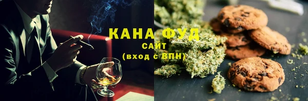 прущий лед Бородино