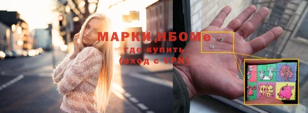 прущий лед Бородино