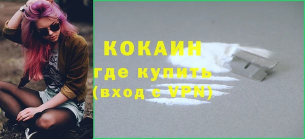 прущий лед Бородино