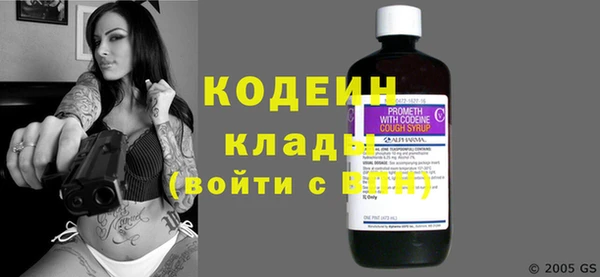 прущий лед Бородино