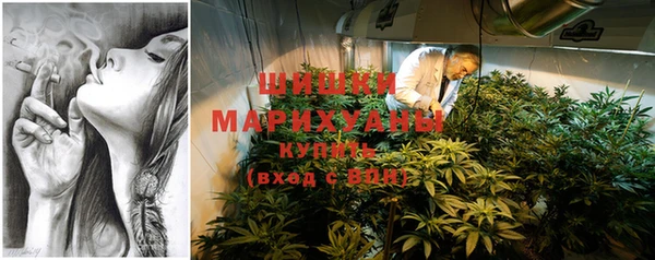 прущий лед Бородино