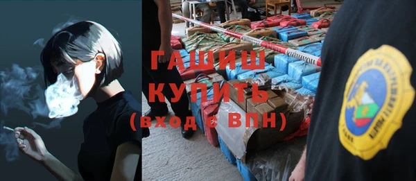 прущий лед Бородино